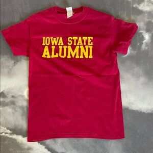 Iowa State Alumni Gildan Heavy Cotton T-Shirt - Cardinal Red